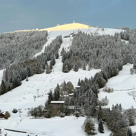 Шале Luxury 5-les Gets-luxe-confort-jacuzzi-cheminee-a 400 M Des Pistes-vue Exceptionnelle Ле-Гет